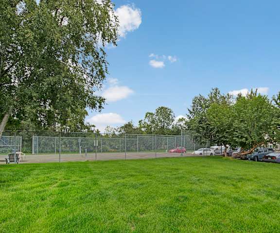 The grassy greenspace with a few trees and a basketball court at Terrace on the Lake Apartment Homes. 