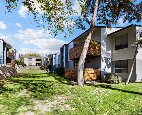 a row of houses with trees and grass in front of them