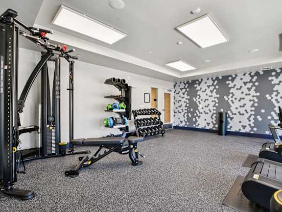 A gym with a variety of equipment including a squat rack, leg press machine, and a rowing machine.at Terracina at Winding Creek, California