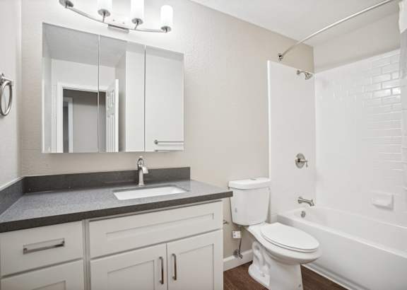 the preserve at ballantyne commons apartment bathroom with sink toilet and shower