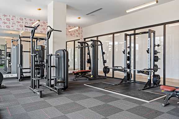 A gym with a variety of equipment including a squat rack, bench, and weights.