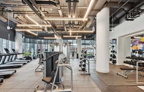 A gym with a variety of equipment including treadmills, weights, and a rowing machine.