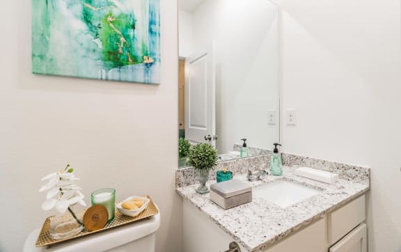 a bathroom with a sink and a mirror