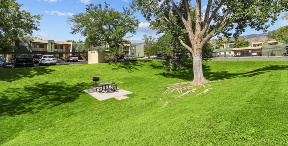 a picnic area with benches and a table