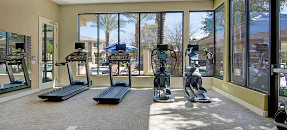 A gym with treadmills, elliptical machines, and other exercise equipment.