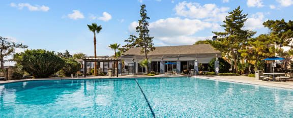 the swimming pool at the resort at longboat key club