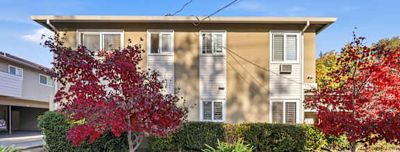 A large tree stands in front of a two-story apartment building.