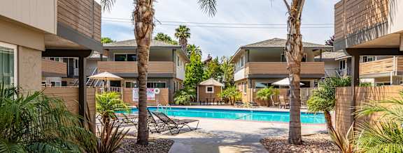 A pool surrounded by palm trees and a concrete walkway.