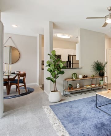 Large Living Spaces at The Enclave at Crossroads, Raleigh, NC, 27606