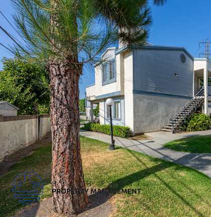 A tree stands in a yard in front of a house.