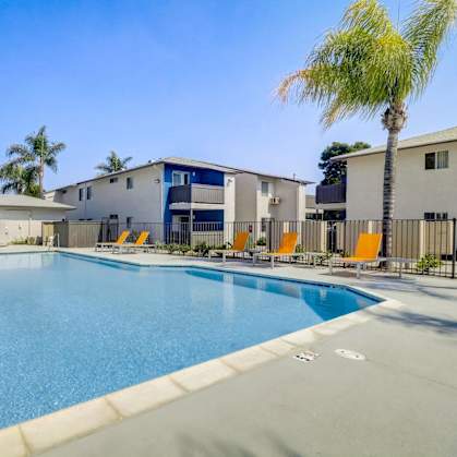 A swimming pool surrounded by palm trees and sun loungers.