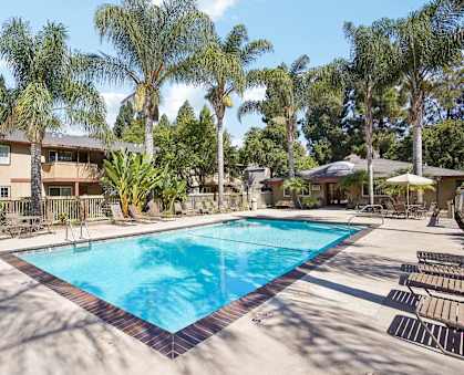 a resort style pool with palm trees and a building in the background