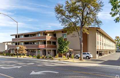 an office building with a street and a tree in front of it