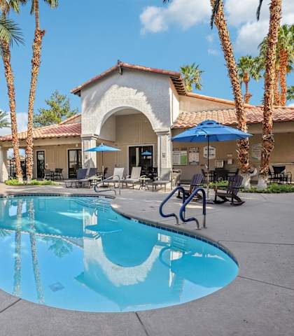 A pool surrounded by palm trees and a building in the background.