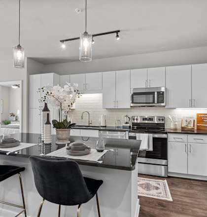 Designer Kitchen with Stainless Steel Appliances at Spinning Mill Lofts, Clayton, NC 27520