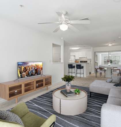 A living room with a television, a sofa, a chair, a table, and a plant.