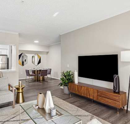 A modern living room with a grey sofa, a glass coffee table, and a black television on a wooden cabinet.