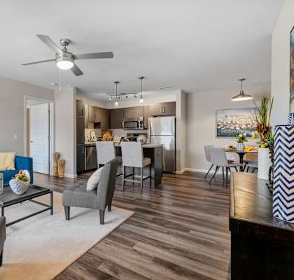 Spacious Living Area With Wood-Style Flooring