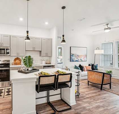 kitchen with custom cabinets, stainless steel appliances, and plank flooring at Tapestry University Park in Sarasota, FL