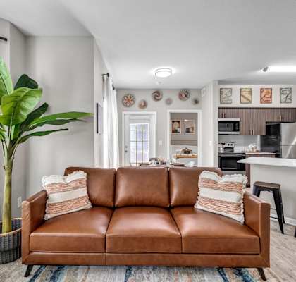 a living room with a leather couch and a plant in front of a window