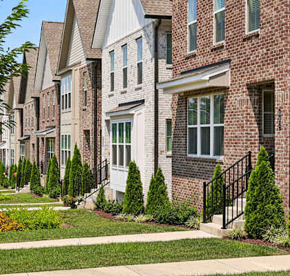 A row of houses with a tree in the foreground.