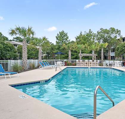 A large swimming pool surrounded by palm trees and lounge chairs.