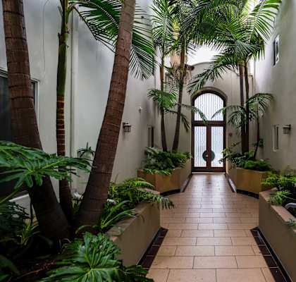 a hallway with palm trees and plants in a building