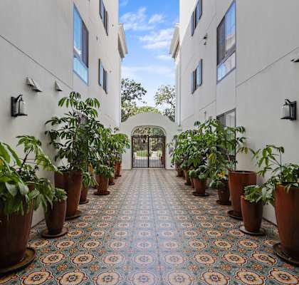 a courtyard with potted plants and an arched doorway