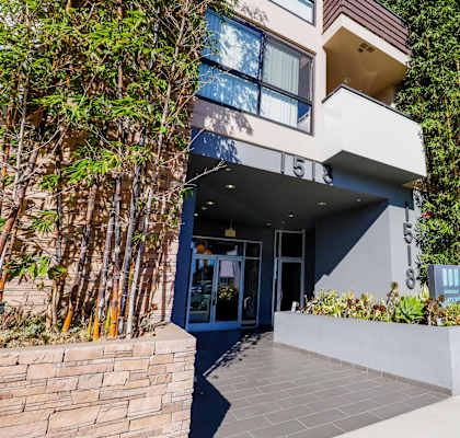 a building with a blue door and a large plant in front of it