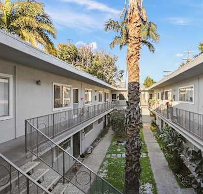 A palm tree stands in the middle of a row of identical houses.
