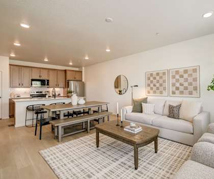 A living room with a couch, coffee table, and a potted plant.