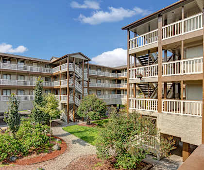 The courtyard with winding paths, trees, bushes, a grassy area, surrounded by the off-white apartment buildings at Silver Ridge Apartment Homes. 