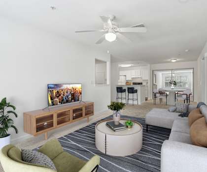 A living room with a television, a sofa, a chair, a table, and a plant.