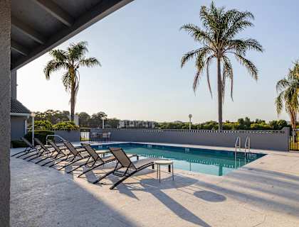 A pool surrounded by palm trees and lounge chairs.