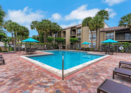 A pool surrounded by palm trees and umbrellas. at Boca Colony Apartments, Florida