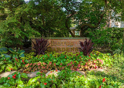 A garden sign that says "Central Gardens" is surrounded by plants and flowers.