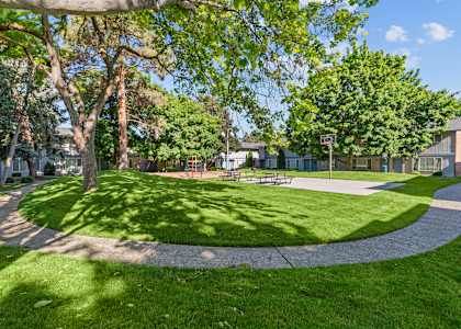 Curtis Meadow Apartments in Boise, Idaho Courtyard and Playground
