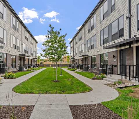 A tree in the middle of a grassy area between two buildings.