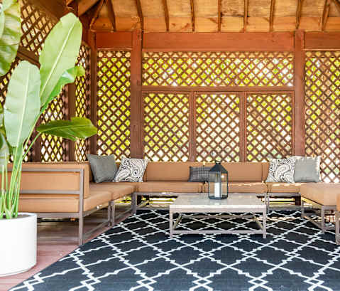 A living room with a sofa, a coffee table, and a plant.