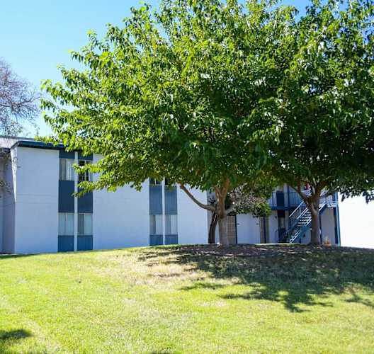 a white building with trees in front of it