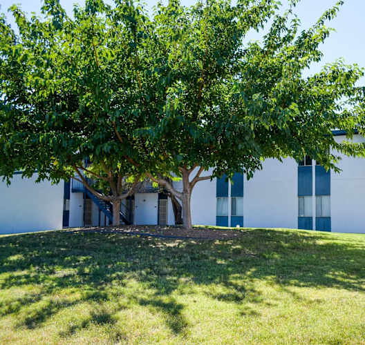 a building with trees in front of it