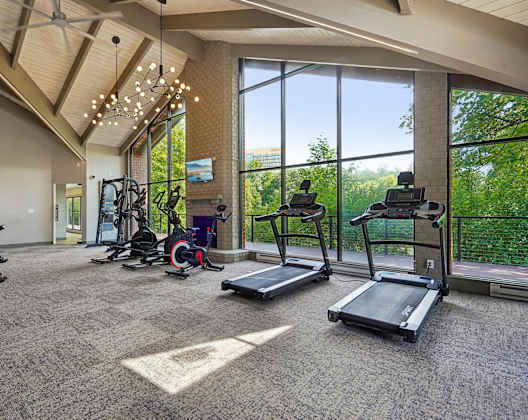 A spacious gym with treadmills, weights, and exercise equipment.
