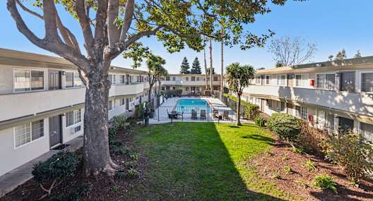 A tree in front of apartment buildings with a pool in the back.