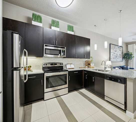 A modern kitchen with black cabinets and stainless steel appliances.