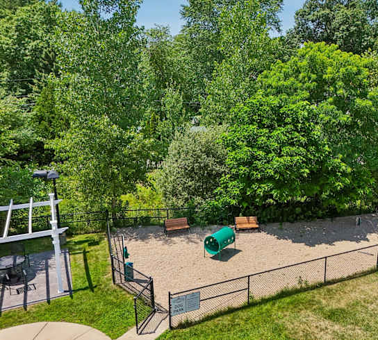 A playground surrounded by trees and a fence.