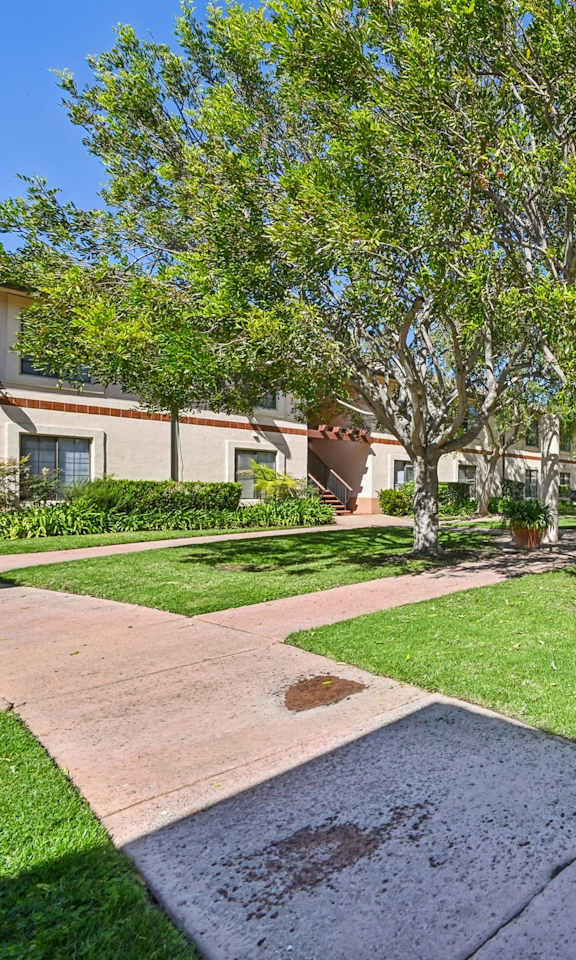 A sunny day at a residential area with apartment buildings and a well-maintained lawn.