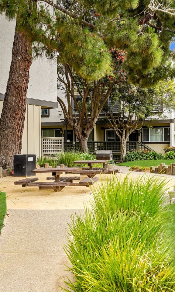 our apartments have a large yard with picnic tables and grass