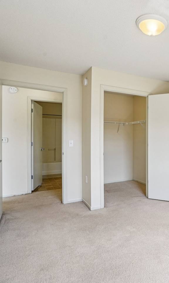 A room with a carpeted floor and a ceiling fan.