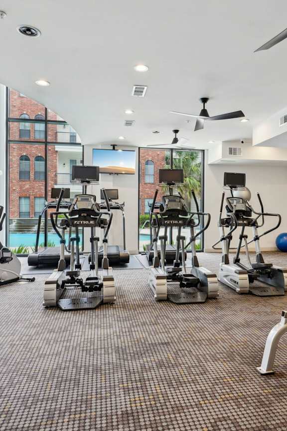 A gym with treadmills, exercise bikes, and other equipment.