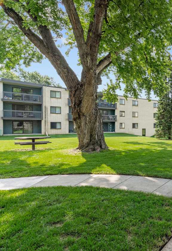 A tree in a grassy area in front of apartment buildings.